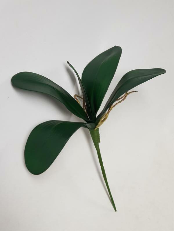 Leaves & Foliage |  Artificial Phalaenopsis Orchid Leaf 34Cm Artificial Greenery Leaves & Foliage