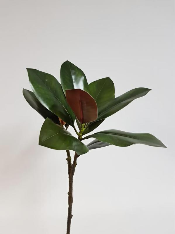 Leaves & Foliage |  Magnolia Leaf Real Touch (2 Branches) 65Cm Artificial Greenery Leaf Spray