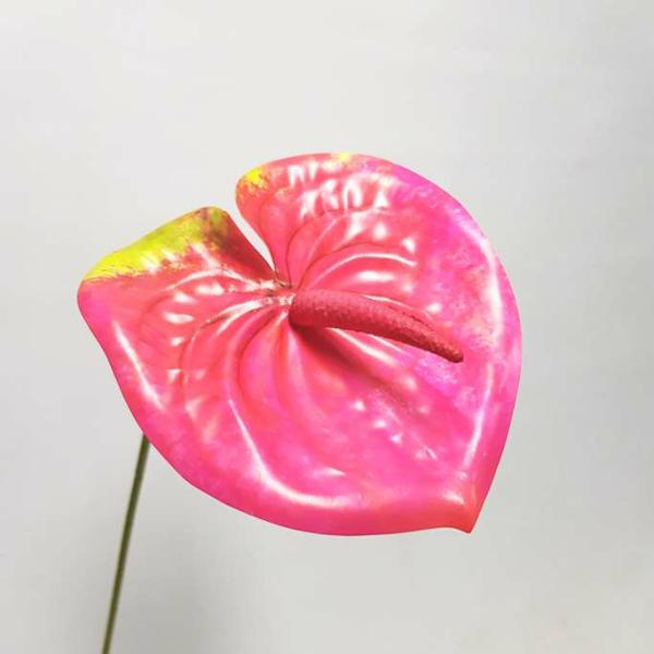 Lily Stems |  Anthurium Lily Flower Hot Pink 60Cm Artificial Flowers Lily Stems