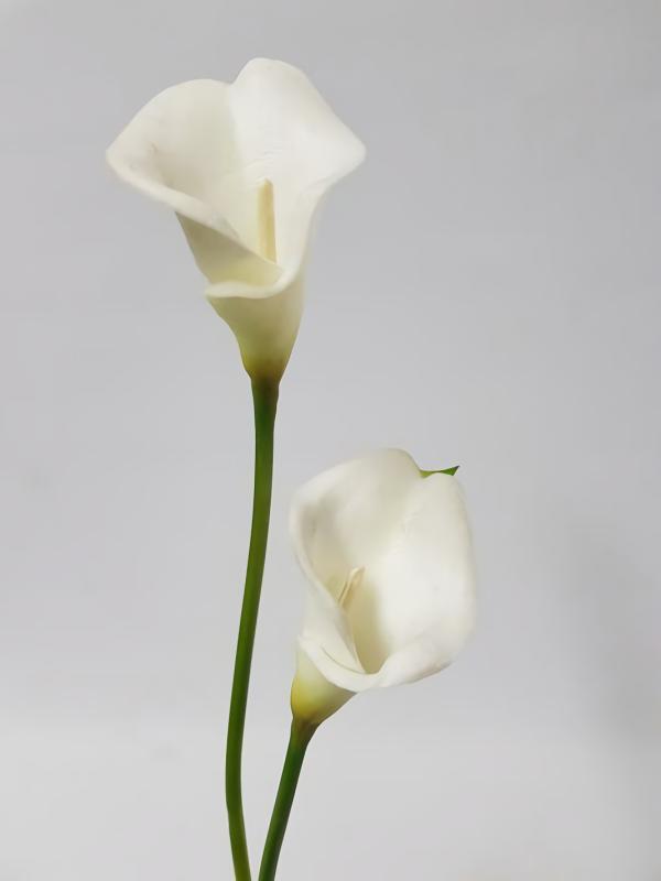 Lily Stems |  Artificial Calla Lily White 34Cm Artificial Flowers Lily Stems