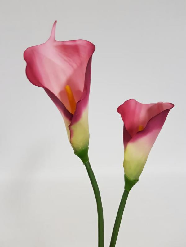 Lily Stems |  Calla Lily Large Plum Artificial Flowers Lily Stems