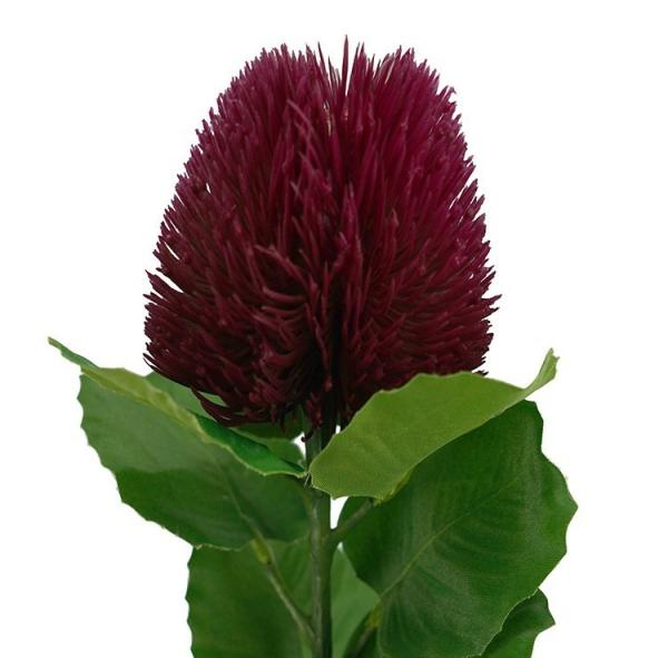 Native Flowers |  Artificial Banksia Bax Wine 59Cm Artificial Flowers Native Flowers