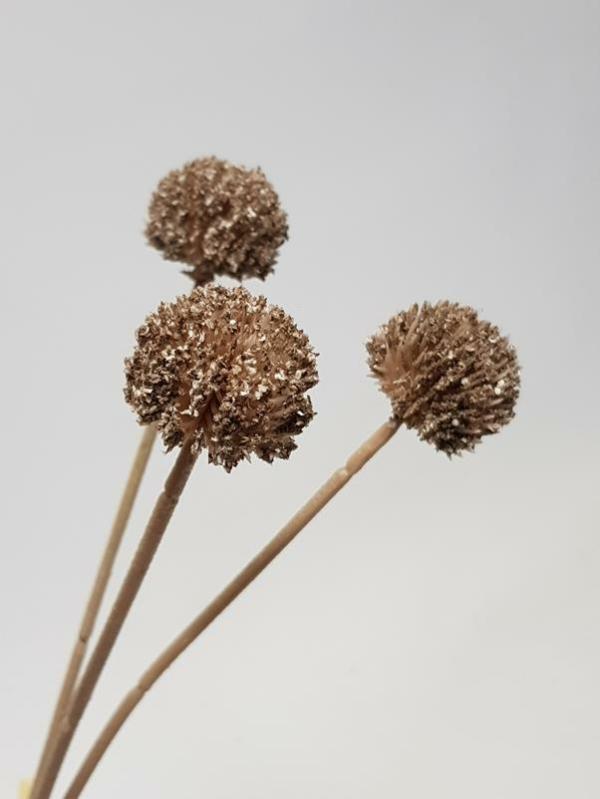 Native Flowers |  Artificial Billy Buttons Brown 45Cm Artificial Flowers Dried Flowers