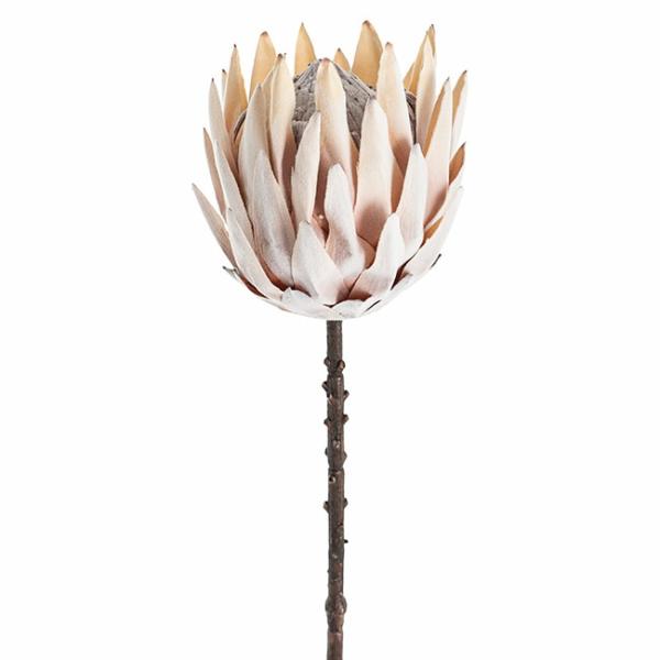 Native Flowers |  Artificial King Protea 70Cm Beige Artificial Flowers Dried Flowers