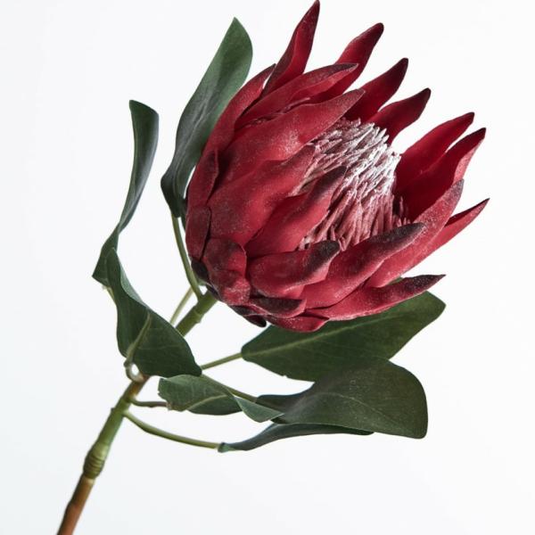 Native Flowers |  Artificial King Protea Burgundy 73Cm Artificial Flowers Native Flowers