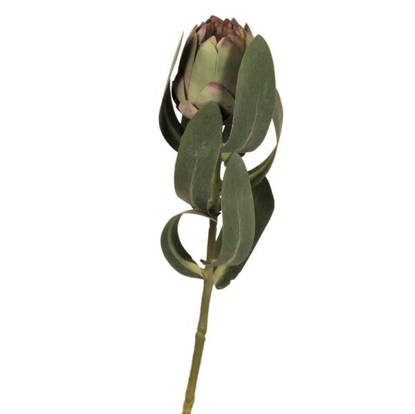 Native Flowers |  Artificial Mini Protea Green 46Cm Artificial Flowers Native Flowers