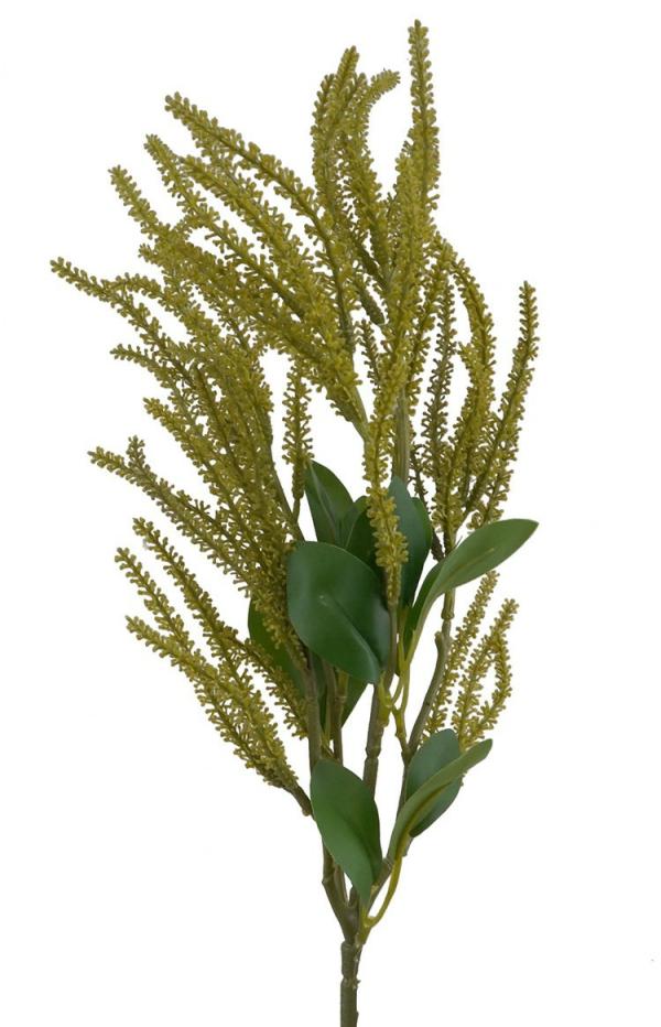 Native Flowers |  Artificial Pigmy Amaranth Green 62Cm Artificial Flowers Native Flowers