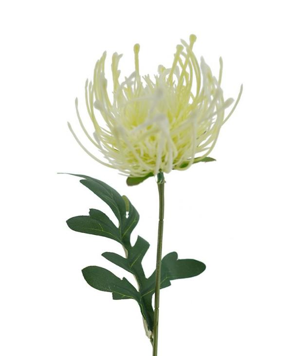 Native Flowers |  Artificial Pincushion Cream 31Cm Artificial Flowers Native Flowers