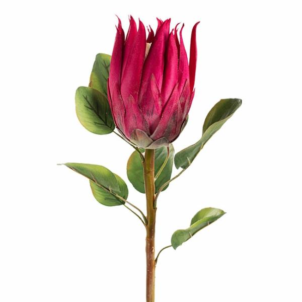 Native Flowers |  Artificial Queen Protea 68Cm Fuchsia Artificial Flowers Native Flowers