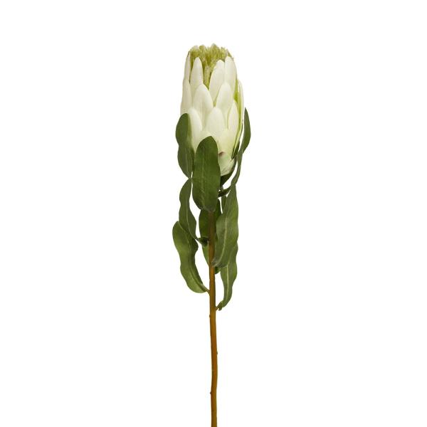 Native Flowers |  Artificial Queen Protea Cream 54Cm Artificial Flowers Native Flowers