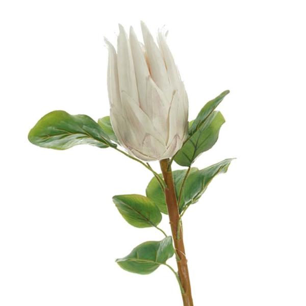 Native Flowers |  Artificial Queen Protea Cream 68Cm Artificial Flowers Native Flowers