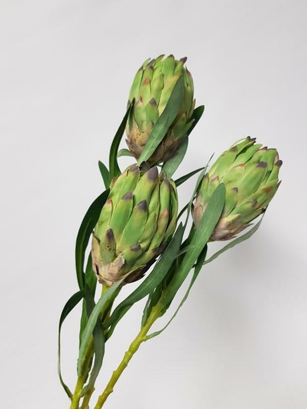 Native Flowers |  Artificial Queen Protea Green 61Cm Artificial Flowers Native Flowers