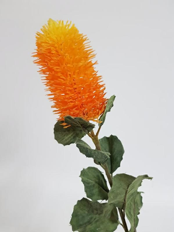 Native Flowers |  Banksia Orange Artificial Flowers Native Flowers