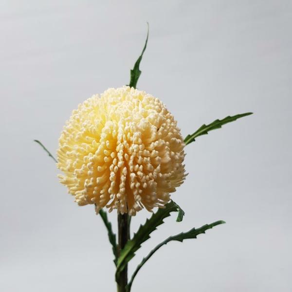 Native Flowers |  Dry Look Protea Round Cream 70Cm Artificial Flowers Native Flowers