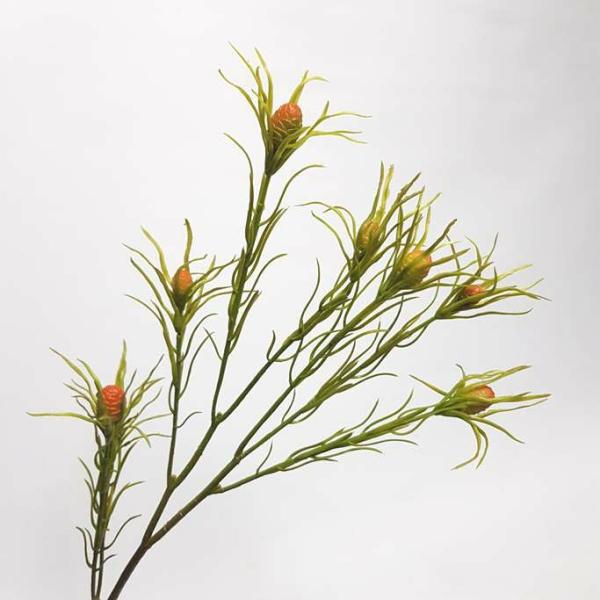 Native Flowers |  Native Leucadendron Orange 67Cm Artificial Flowers Native Flowers