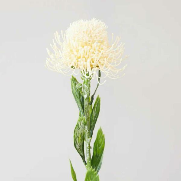 Native Flowers |  Native Pin Cushion White 60Cm Artificial Flowers Native Flowers