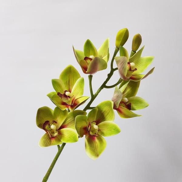 Orchids |  Artificial Cymbidium Orchid Green 68Cm Artificial Flowers Orchids