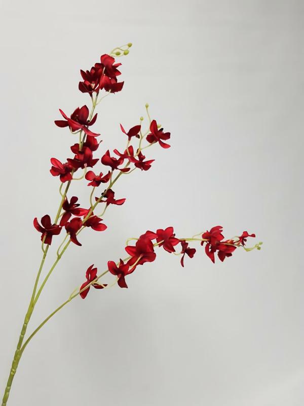 Orchids |  Artificial Dendrobium Red 65Cm Artificial Flowers Orchids