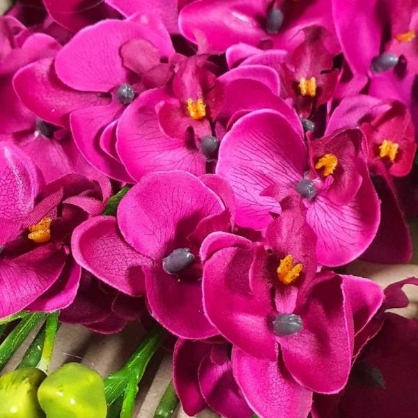 Orchids |  Artificial Moon Orchid Magenta 85Cm Artificial Flowers Orchids