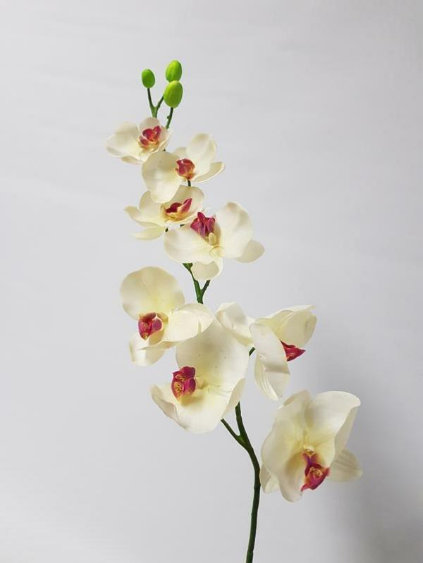 Orchids |  Artificial Orchid Miss Tilly Cream 92Cm Artificial Flowers Orchids