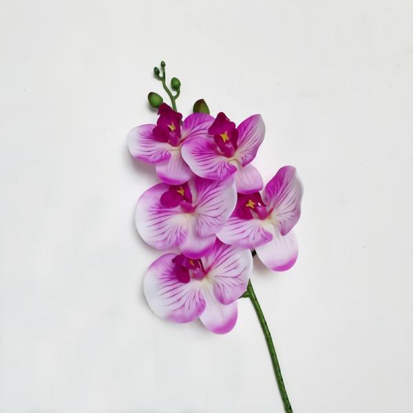 Orchids |  Artificial Phalaenopsis Orchid Magenta 64Cm Artificial Flowers Orchids