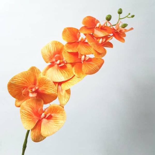 Orchids |  Artificial Phalaenopsis Orchid Orange 80Cm Artificial Flowers Orchids