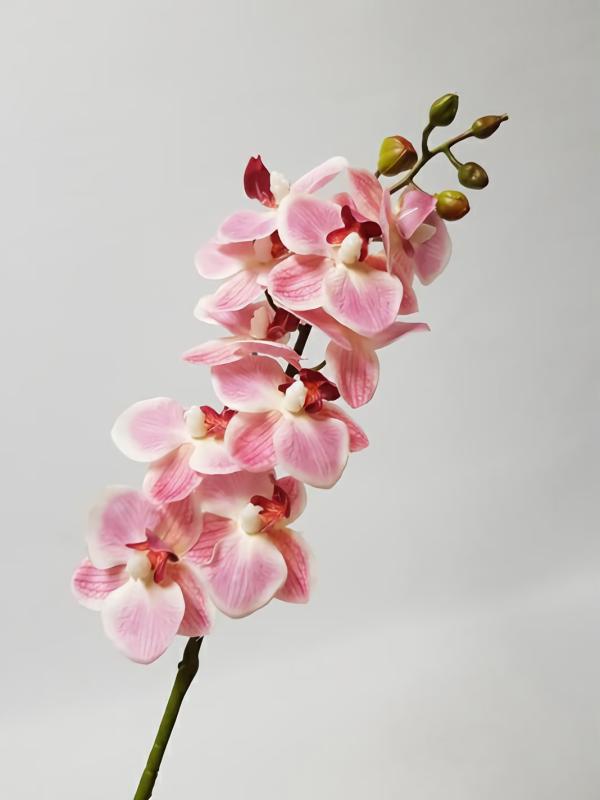 Orchids |  Artificial Phalaenopsis Orchid Pink 56Cm Artificial Flowers Orchids