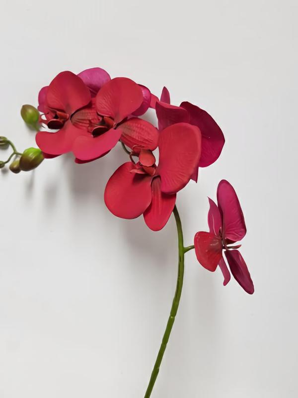 Orchids |  Artificial Phalaenopsis Orchid Plum70Cm Artificial Flowers Orchids