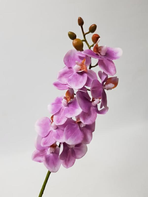 Orchids |  Artificial Phalaenopsis Orchid Purple 56Cm Artificial Flowers Orchids