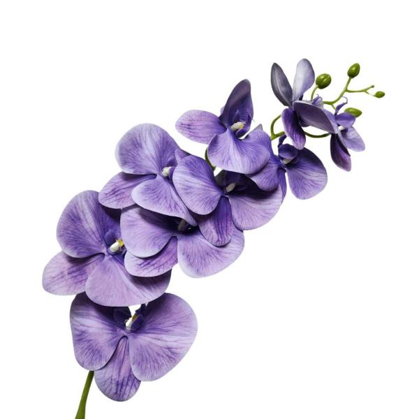 Orchids |  Artificial Phalaenopsis Orchid Purple 80Cm Artificial Flowers Orchids