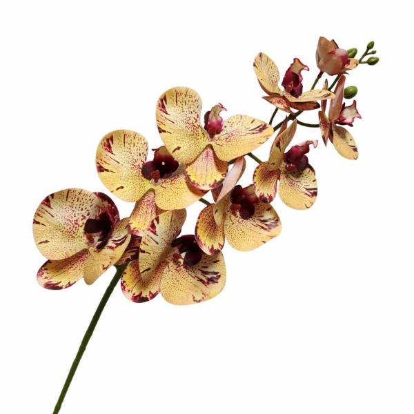 Orchids |  Artificial Phalaenopsis Orchid Speckled Yellow 80Cm Artificial Flowers Orchids