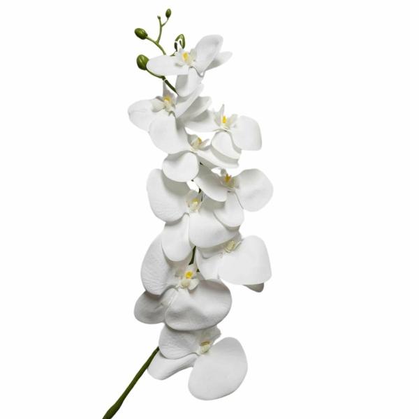 Orchids |  Artificial Phalaenopsis Orchid White 80Cm Artificial Flowers Orchids