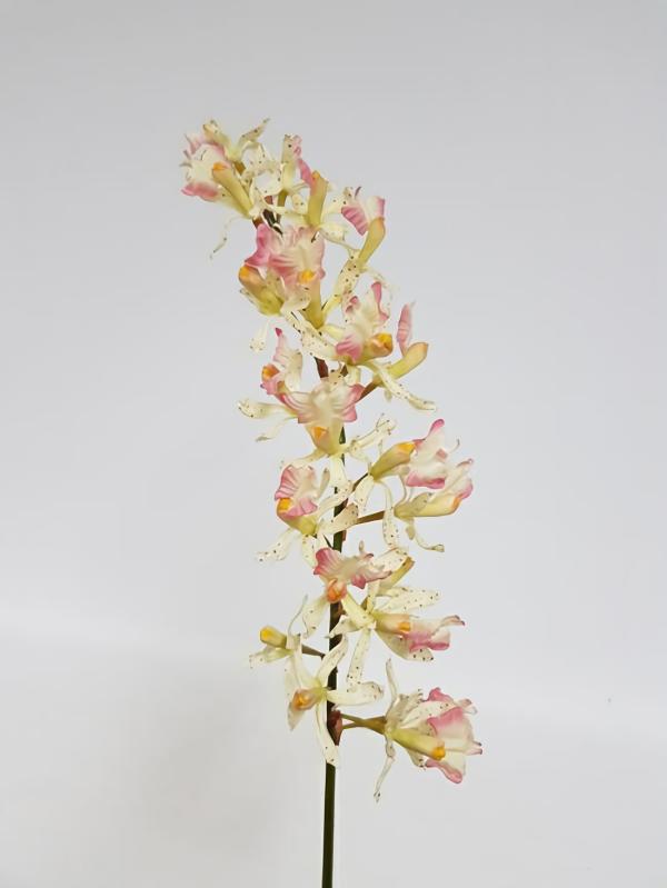 Orchids |  Butterfly Orchid Cream Pink Large 78Cm Artificial Flowers Orchids