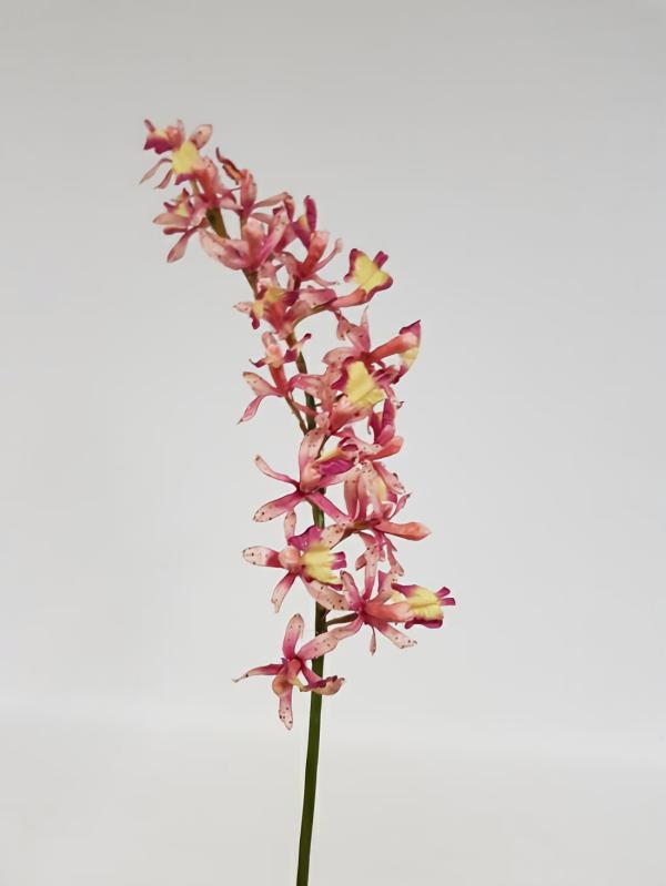 Orchids |  Butterfly Orchid Dusty Pink Large 78Cm Artificial Flowers Orchids