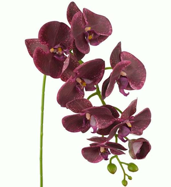 Orchids |  Phalaenopsis Orchid Odilia Burgundy 96Cm Artificial Flowers Orchids