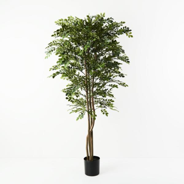 Plants |  Artificial Acacia Tree Potted 180Cm Artificial Plants Plants