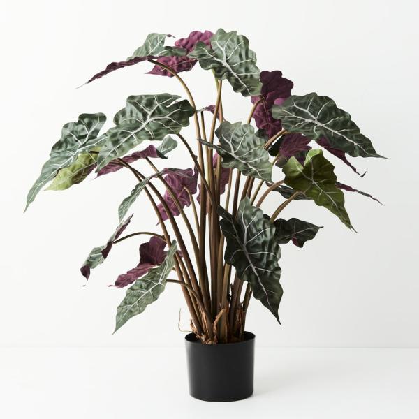 Plants |  Artificial Alocasia Plant 80Cm Artificial Plants Plants