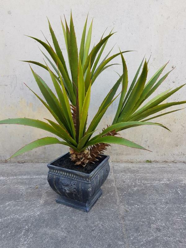 Plants |  Artificial Aloe Plant 50Cm Artificial Plants Plants