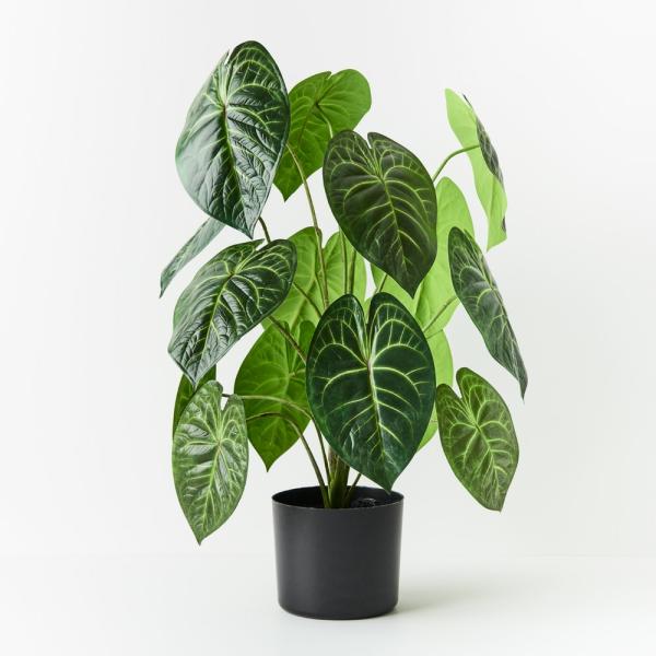 Plants |  Artificial Anthurium Plant 73Cm Artificial Plants Plants