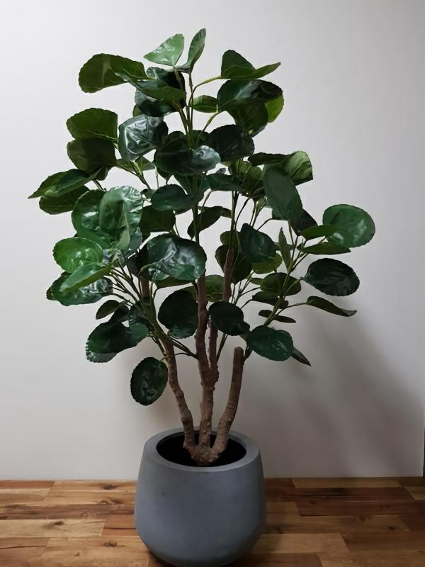 Plants |  Artificial Aralia Tree 95Cm Artificial Plants Plants