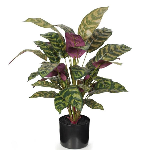 Plants |  Artificial Calathea Plant 68Cm Artificial Plants Plants