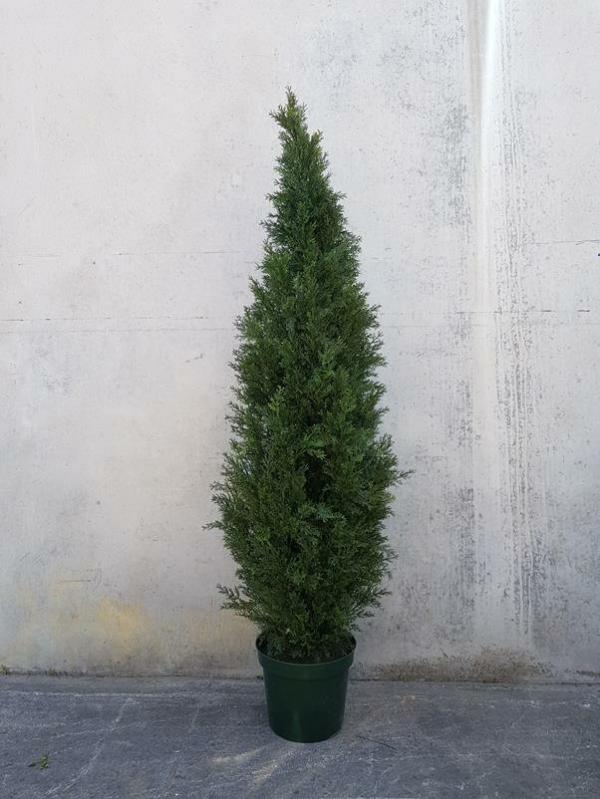 Plants |  Artificial Cedar Tree 150Cm Artificial Plants Plants