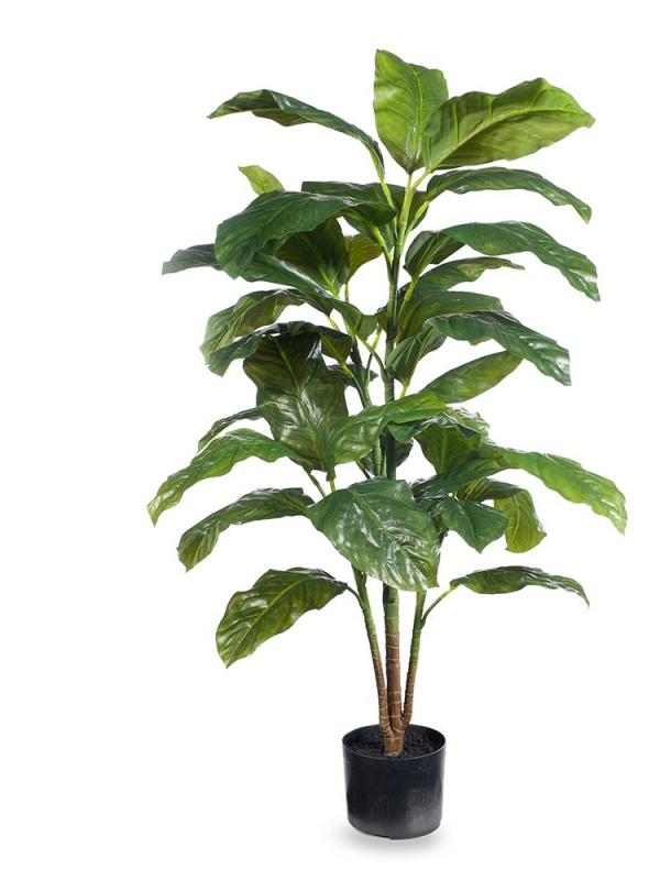 Plants |  Artificial Ever Green Plant 126Cm Artificial Plants Plants