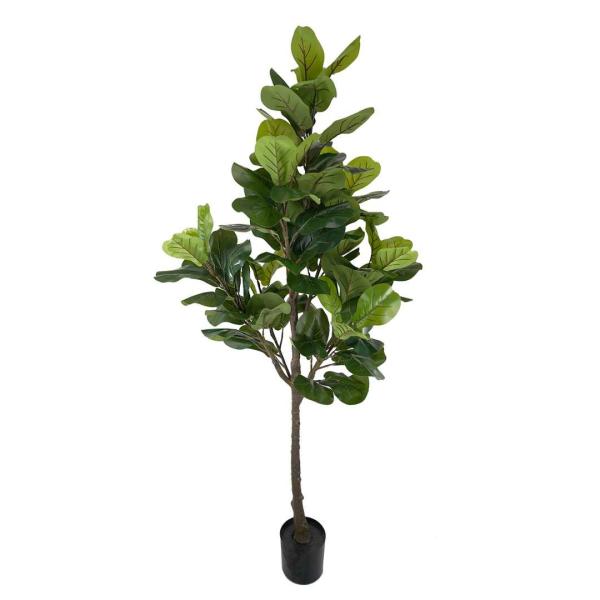 Plants |  Artificial Fiddle Tree 180Cm Artificial Plants Plants