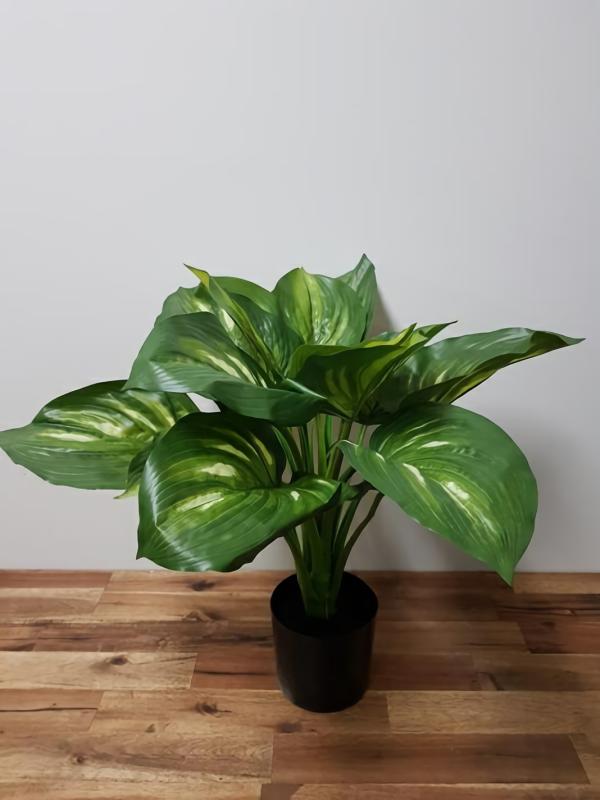 Plants |  Artificial Hosta Plant 50Cm Artificial Plants Plants