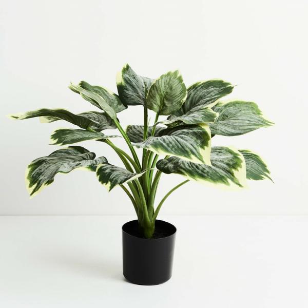 Plants |  Artificial Hosta Plant Frost 50Cm Artificial Plants Plants