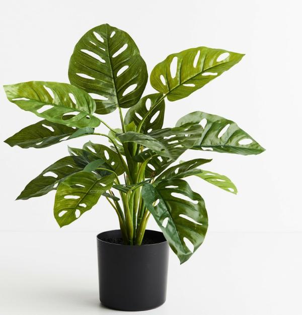 Plants |  Artificial Monstera Adan Plant 53Cm Artificial Plants Plants