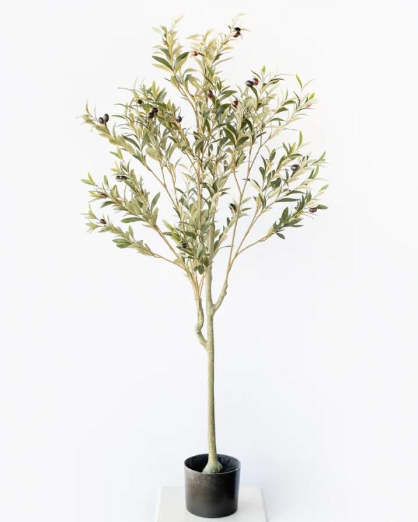 Plants |  Artificial Olive Tree 150Cm Artificial Plants Plants