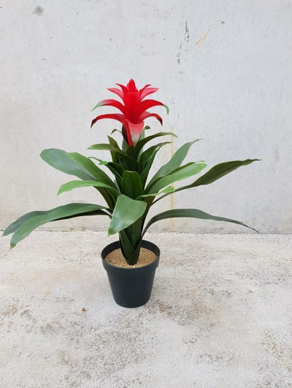 Plants |  Artificial Plant Bromeliad Red 50Cm Artificial Plants Plants