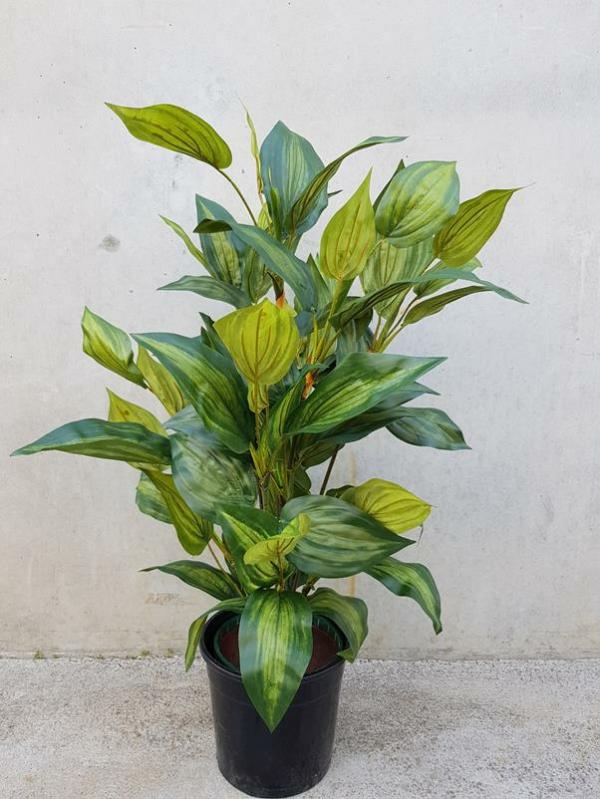 Plants |  Artificial Plant (Hosta) 90Cm Artificial Plants Plants